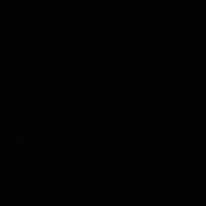 Meet your Posher, Ariana